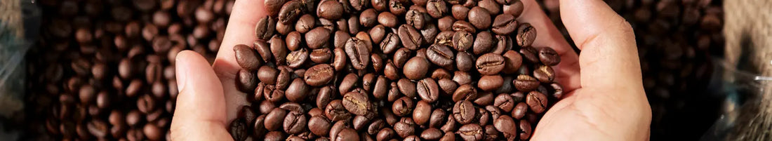 Morning Game-Changer: How Fresh Roasted to Order Coffee Will Rock Your World!